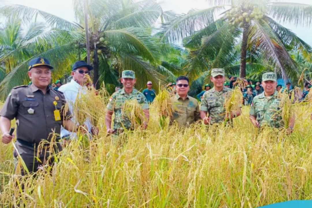 Harga Gabah Naik Jadi Rp6.500, Petani di Sambas Diminta Tegas Tolak Tawaran Rendah dari Tengkulak