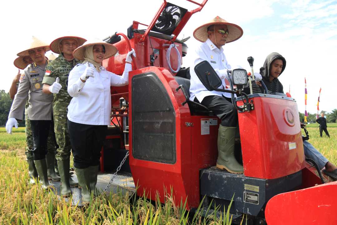 Targetkan Mandiri Pangan, Wagub Krisantus Kurniawan Panen Padi Serentak di Mempawah
